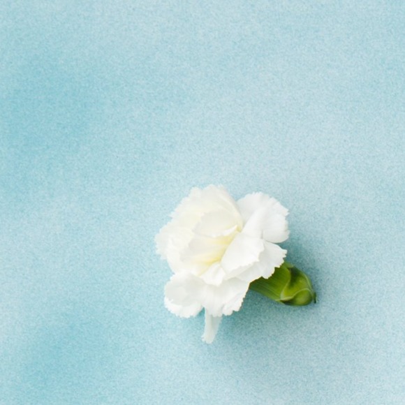terrafleur